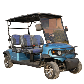 Right Hand Drive Electric Golf Cart with Android Screen