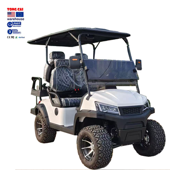 Customizable 6-Seat Electric Resort Golf Cart