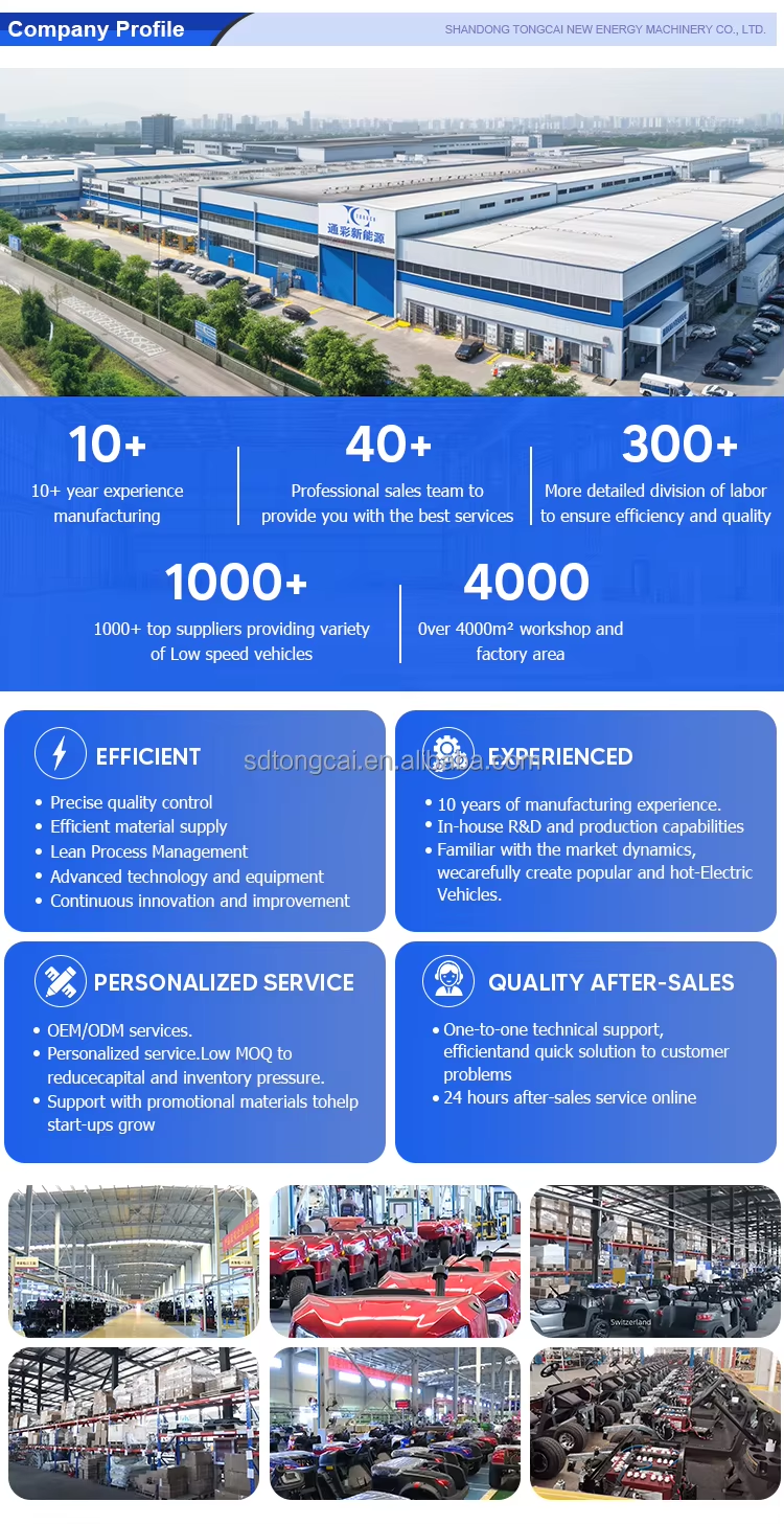 Company Profile