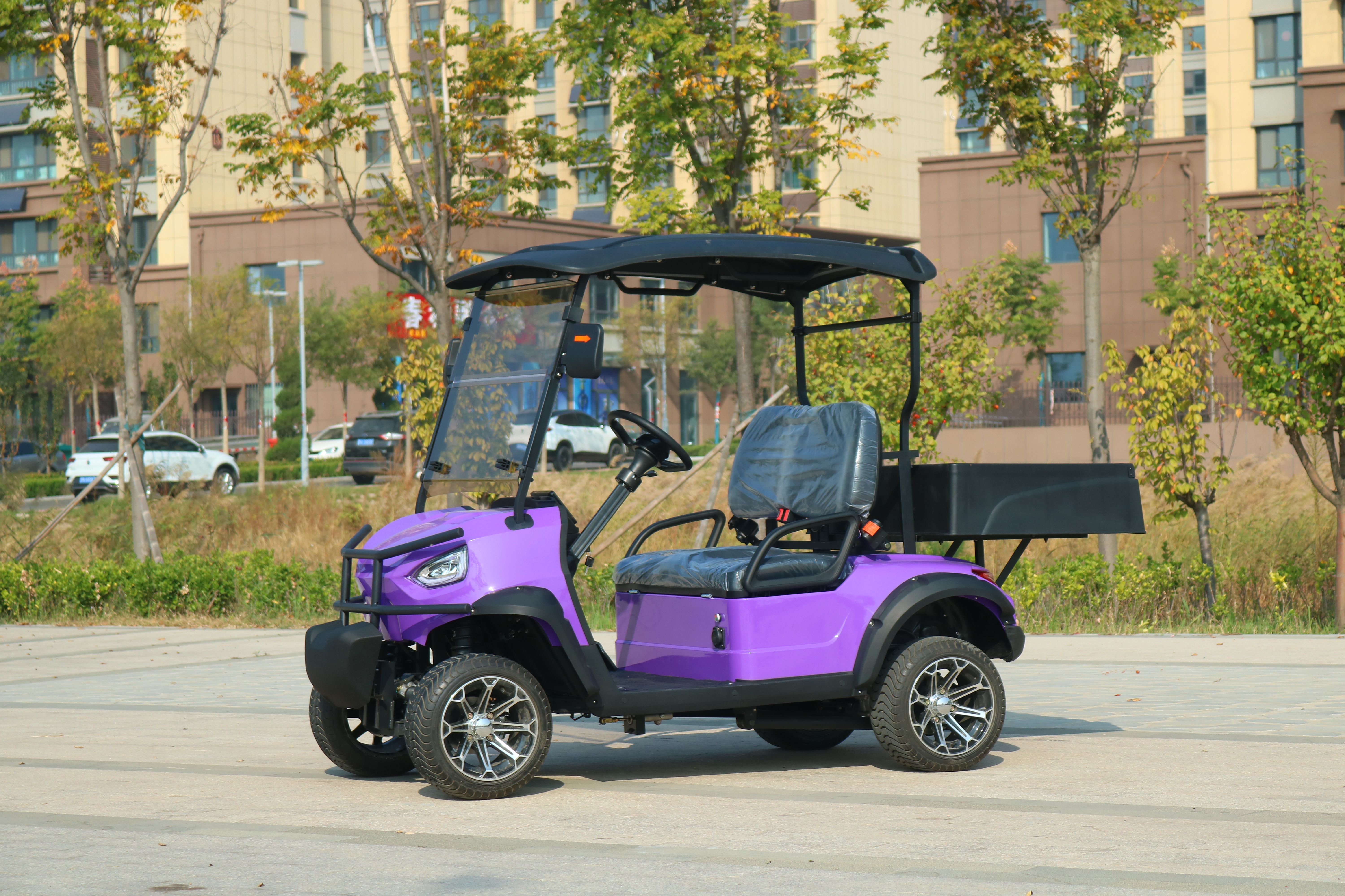 Electric Golf Cart Structure