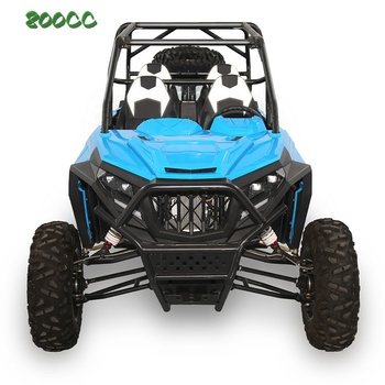 800cc 1500cc High Output SSV 4x4 Buggy