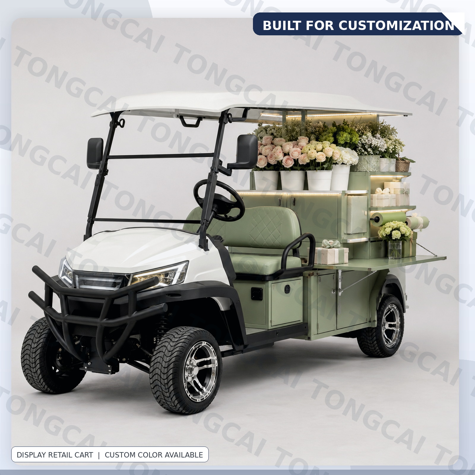 TONGCAI Electric Outdoor Vending Cart Custom Mobile Vehicle for Beach Park and Campus