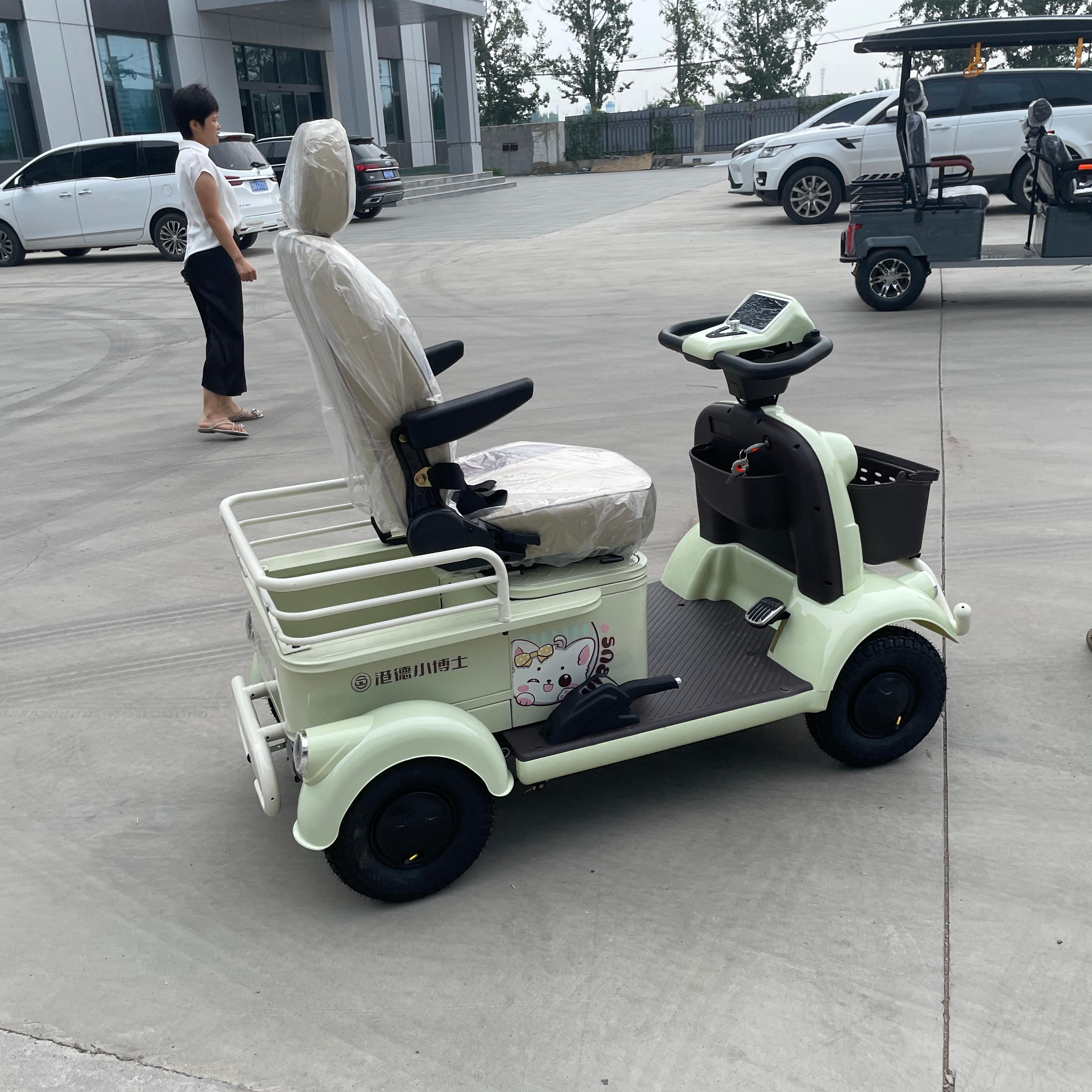 TONGCAI 4 Wheel Electric Senior Mobility Scooter Comfortable Single Seat Design 30-50km Range 30Km/h Speed 200kg Load Capacity