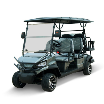 Custom Painted 6-Seater Golf Cart