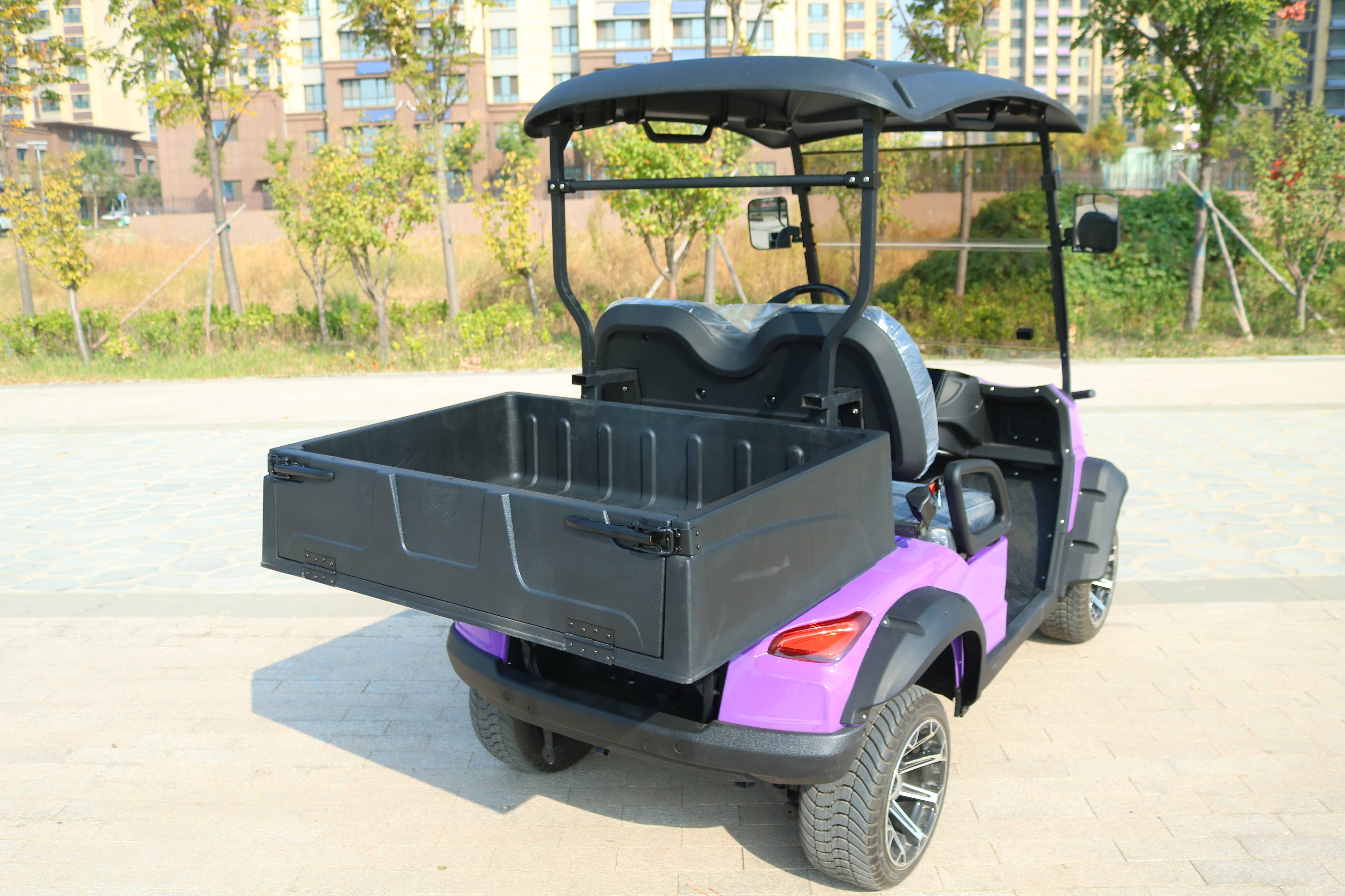 Electric Golf Cart Chassis