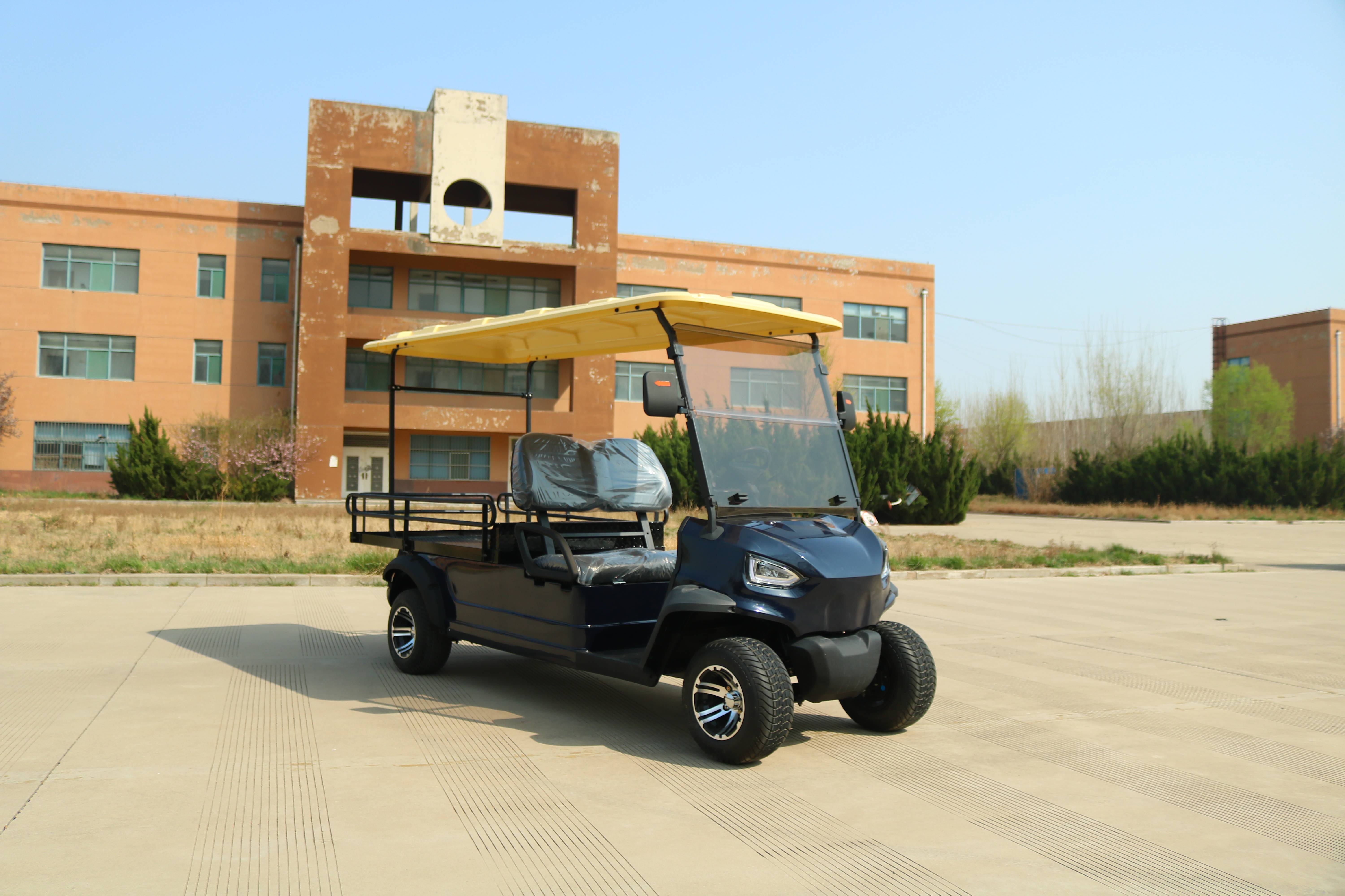 Electric Golf Cart Accessories